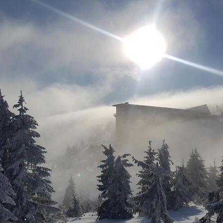 Apartman Medvedin 306 Spindleruv Mlyn Exterior photo